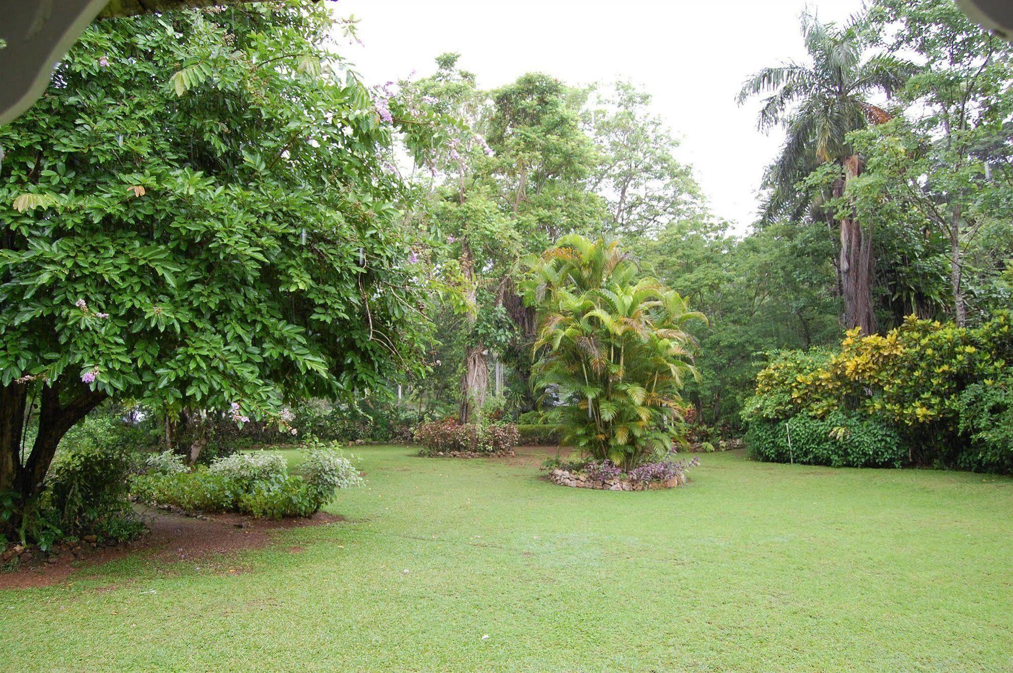 Inn At Shaw Park Gardens & Waterfalls Ocho Rios Exteriör bild