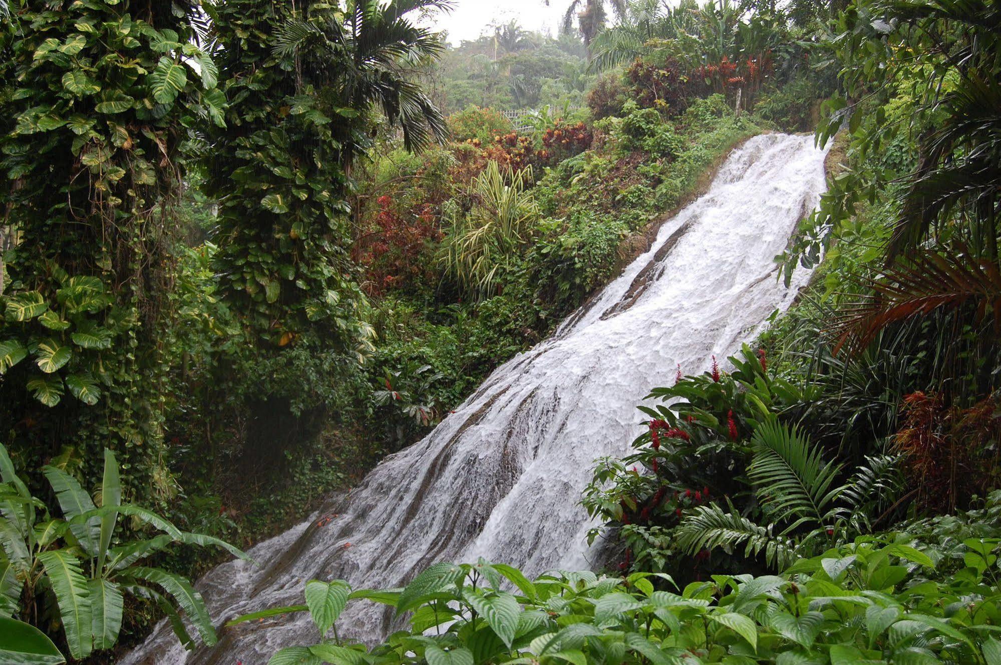 Inn At Shaw Park Gardens & Waterfalls Ocho Rios Exteriör bild