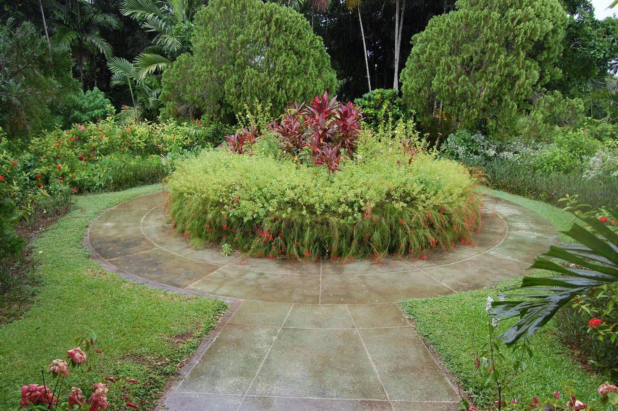 Inn At Shaw Park Gardens & Waterfalls Ocho Rios Exteriör bild